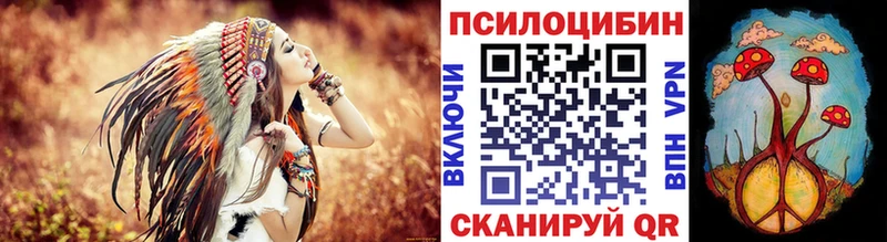 Галлюциногенные грибы Psilocybe  Сафоново 