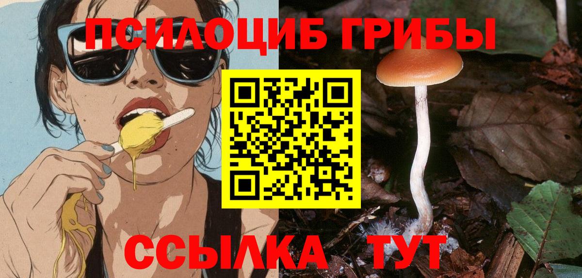Псилоцибиновые грибы ЛСД Сафоново